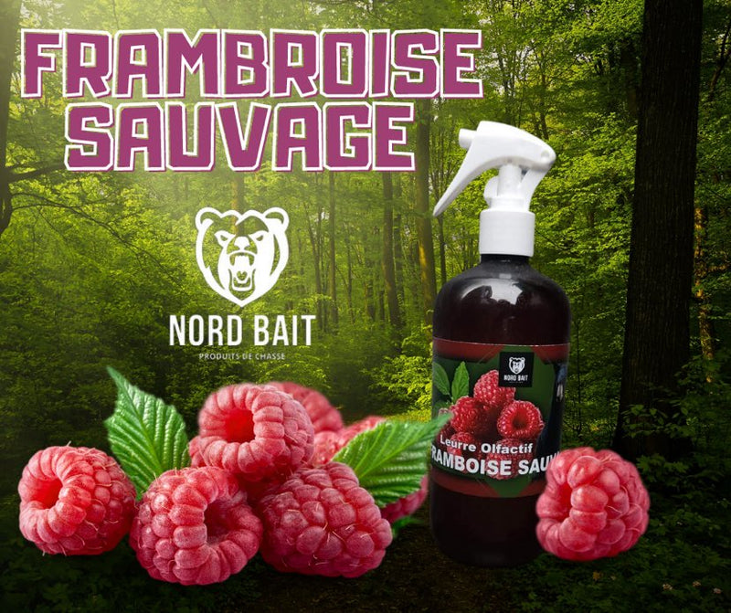 NORD BAIT * Framboises sauvages *