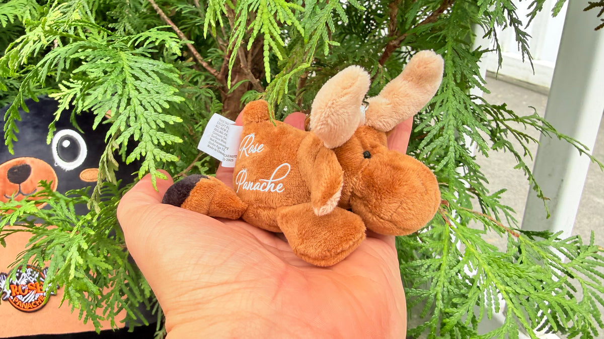 Porte clé peluche orignal